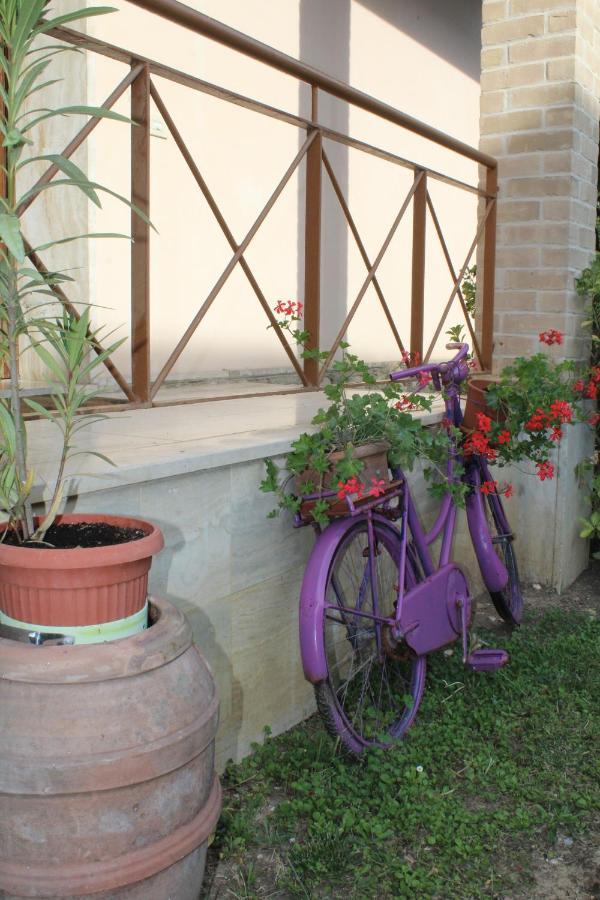 רפולאנו טרמה Alle Terme B&B מראה חיצוני תמונה